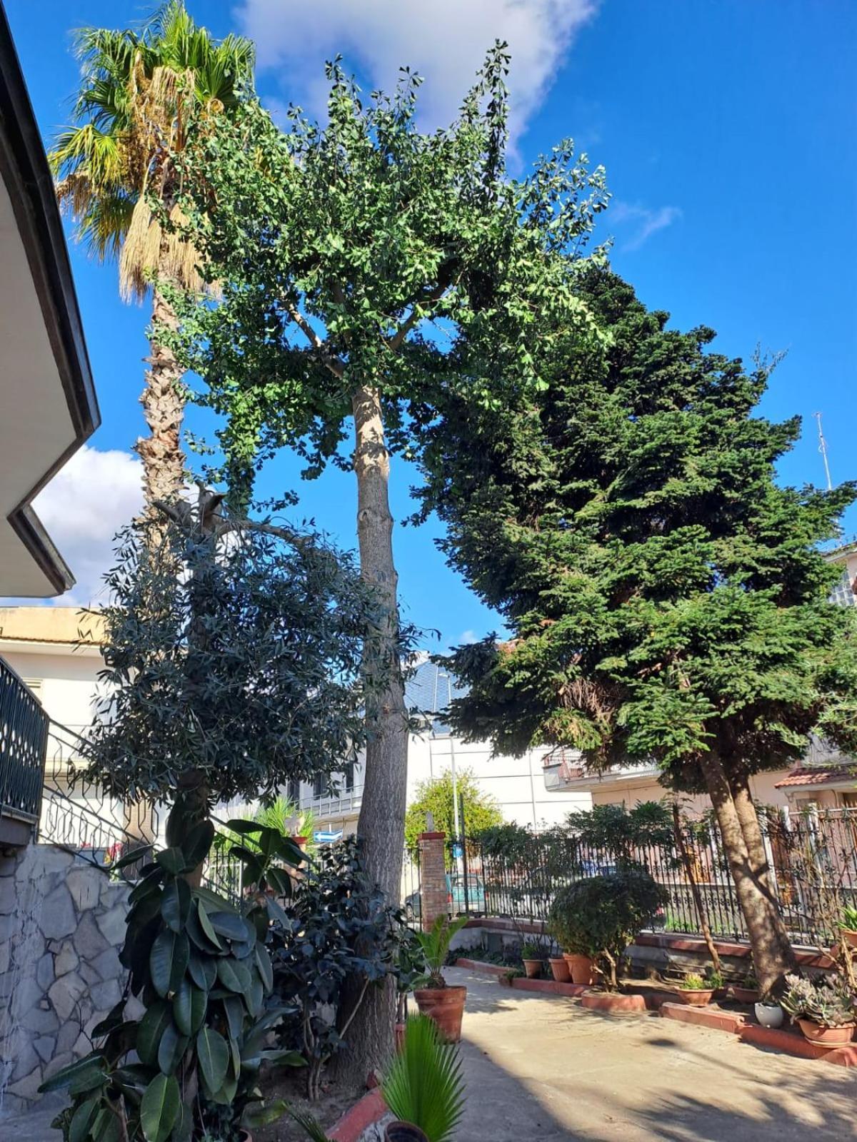 Appartement A Casa Di Luigi 2 à Mugnano di Napoli Extérieur photo